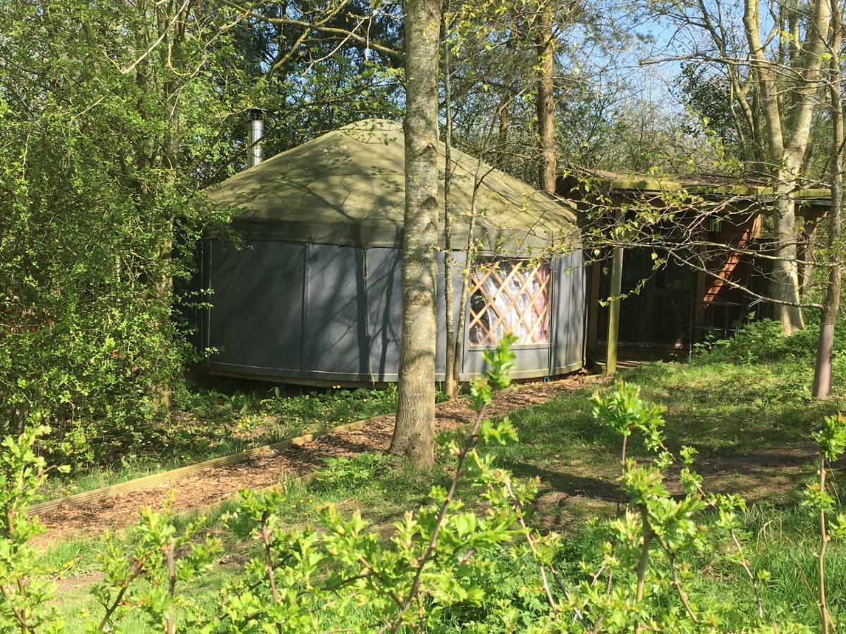 Cotswolds Camping At Holycombe Shipston-on-Stour Екстериор снимка