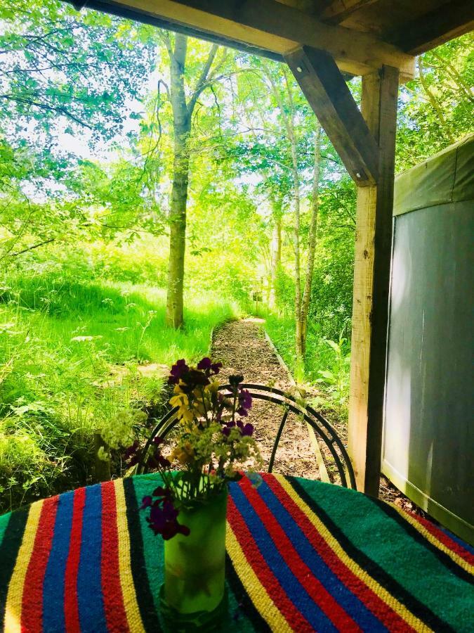 Cotswolds Camping At Holycombe Shipston-on-Stour Екстериор снимка